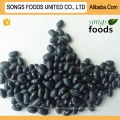 Black Kidney Beans Price Best New Crop Black Kidney Beans